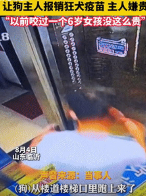必须严惩！山东临沂，一男子被大型犬堵在电梯撕咬，事后他就找到狗主人，想让其报销疫