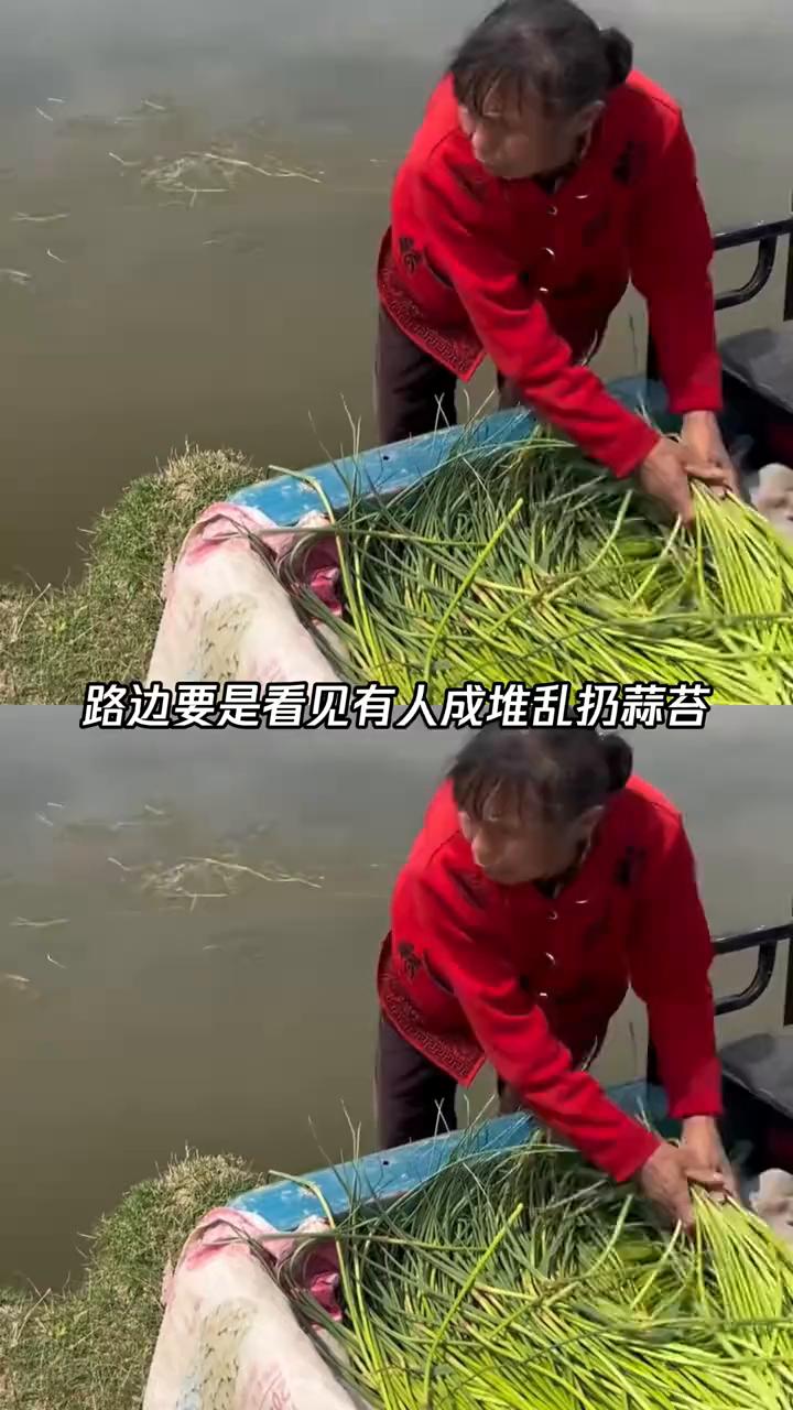 路边要是看见有人成堆乱扔蒜苔，听我的赶紧绕道走。万万没想到，这就是如今河南的真实