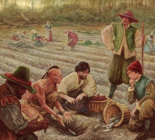 公元1493年，哥伦布第二次从美洲归来，将金灿灿的玉米献给西班牙王室。欧洲人欣喜