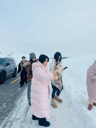 新疆阿勒泰的一条公路上。有自开车自驾游的游客在路边偶遇几只讨食吃的狐狸？由于