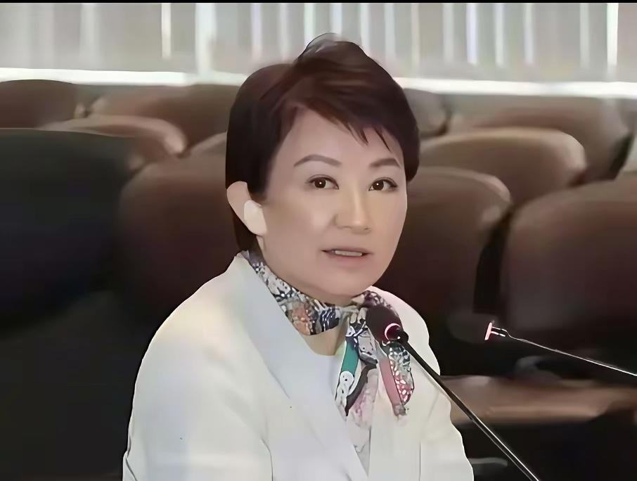 卢秀燕前往美国，小心思很清楚，就是冲着2028提前布局，郑丽文机智限定为“城市交