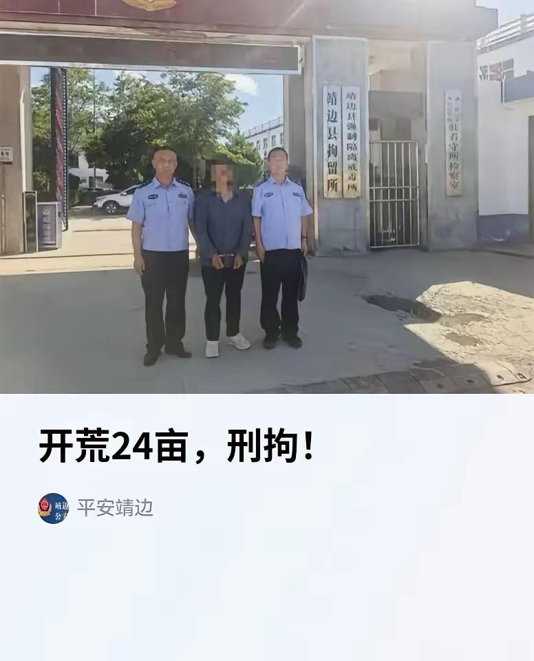 陕西榆林靖边县黄蒿塘村，发生了一件让人唏嘘的真实案件。当地村民史某，眼见村外一片