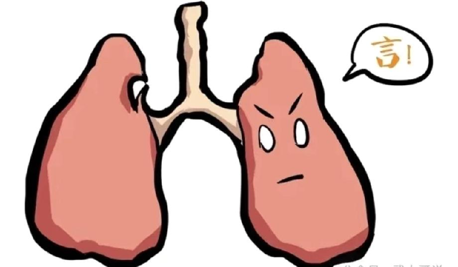  看懵了！这张肺的漫画藏着一个成语，90%的人都想错，评论区晒答案
