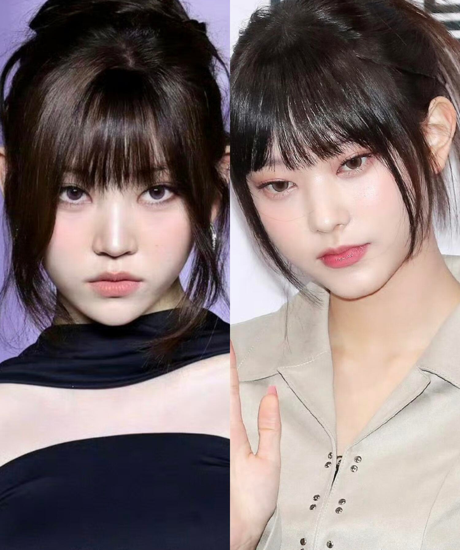 KPOP界来了两只小猫​​​