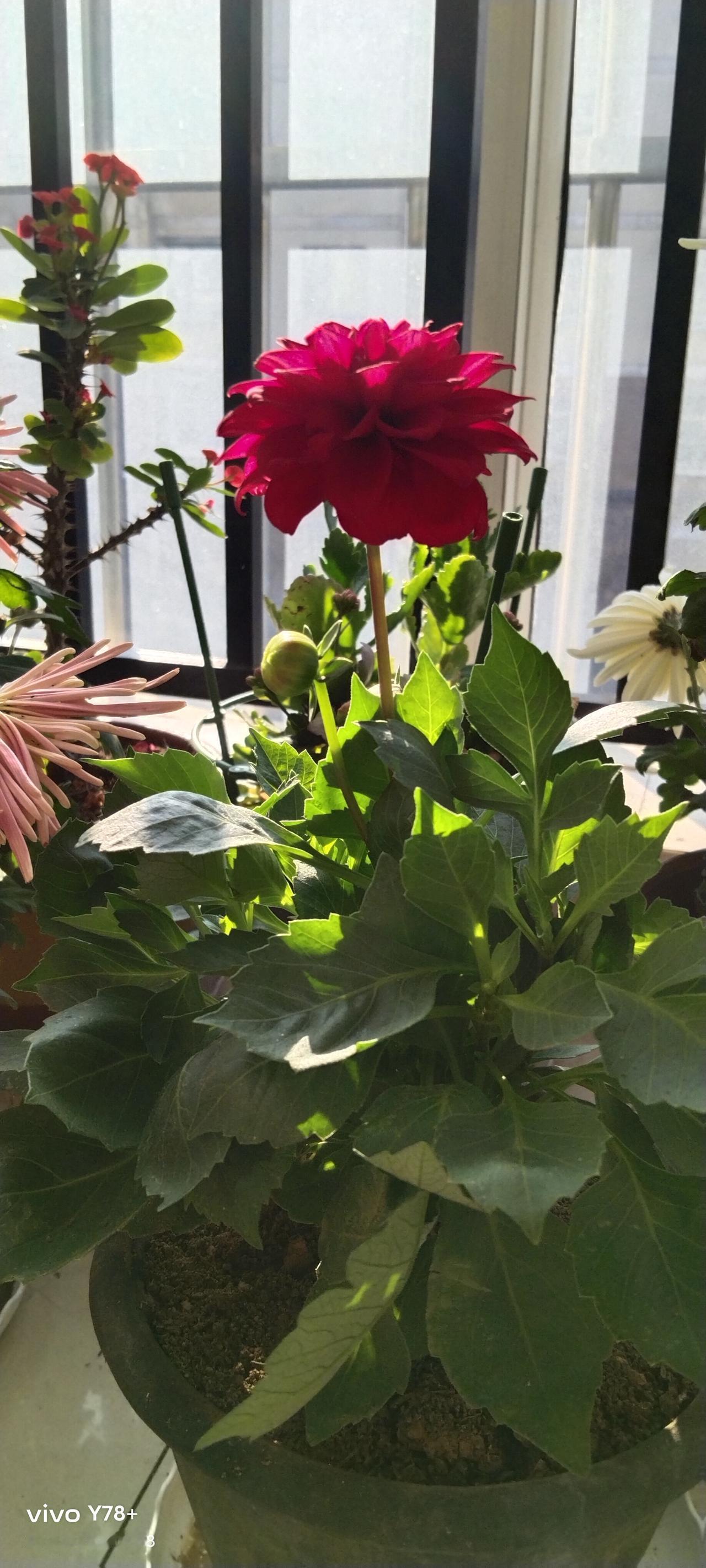 几十年前，在媒体上看见某某因为贪污受贿，被逮了，被判了，老百姓当做一个大新闻，街