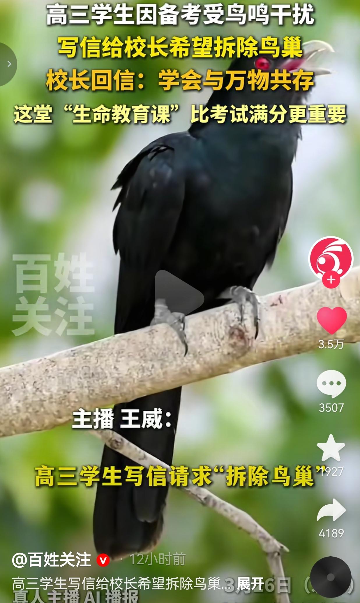 这才是比高考满分更狠的一课！深圳宝安中学一个高三娃，为了备考居然要把窗外的鸟窝拆