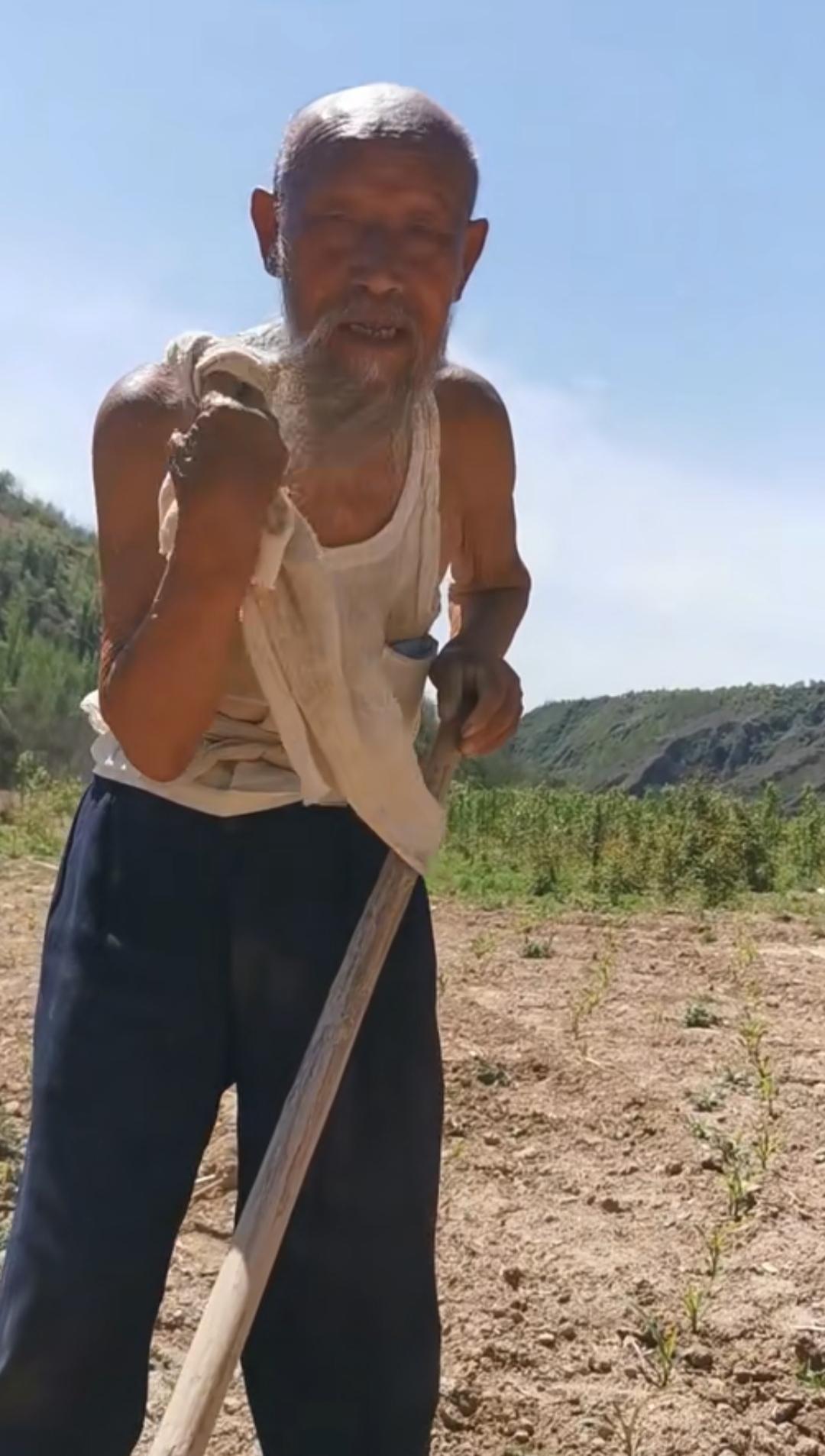 现在好多人质疑《悯农》，说大中午谁会顶着太阳锄草，觉得诗句太假。真的是没干过农活