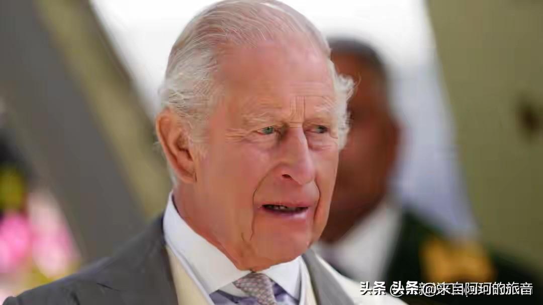 查尔斯国王这回主动把税单晒出来，在位三年缴了三千多万英镑的税。白金汉宫那边高调宣