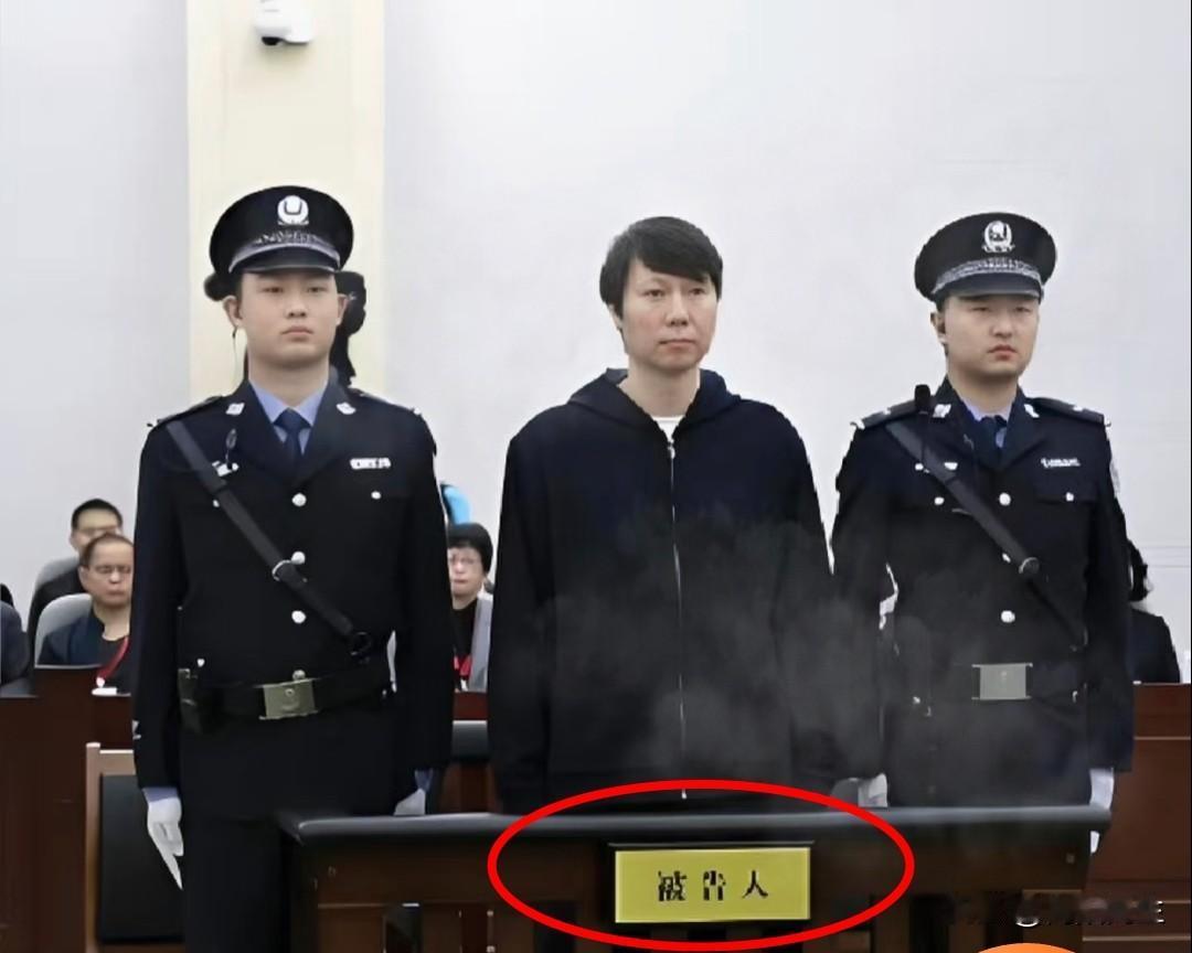 真是活久见，李铁这1.1亿的大案子，把华夏幸福和武汉卓尔的老底都揭穿了！