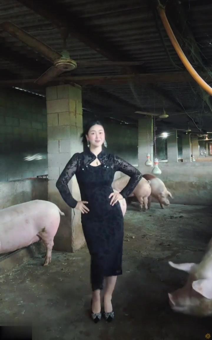 村里有经验的老兽医遇到母猪不交配、不下崽，他会先检查猪圈是否潮湿阴冷、通风是否良