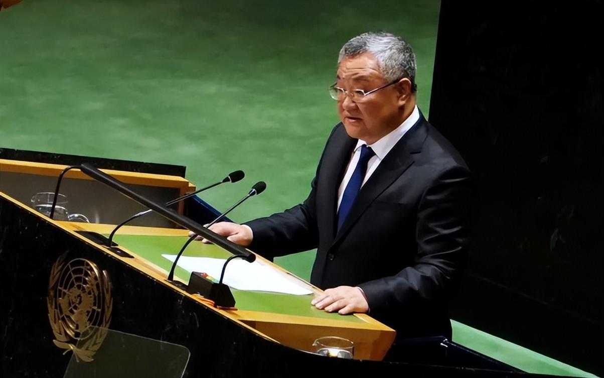 万万没想到美国突然宣布了！美国一票否决让14国全白玩惹众怒，中国当着全世界喊