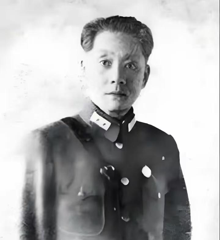 战术满分、战略归零？蒋百里犀利剖析日本的致命短板。1938年绝对是抗战史上