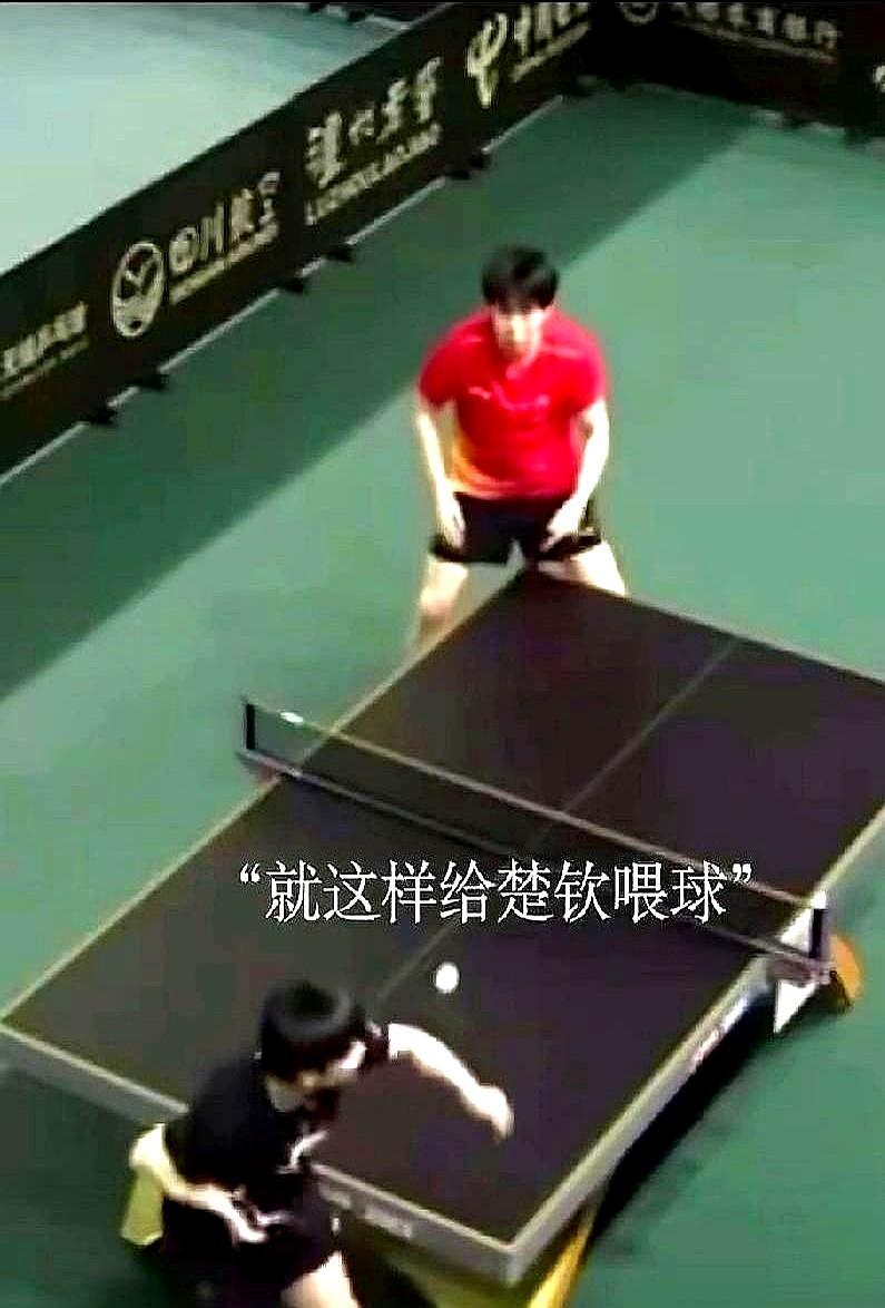 刚刚横扫台北天才捧起冠军奖杯的王楚钦，偏偏让一个女孩一句话瞬间熄火。你敢信？