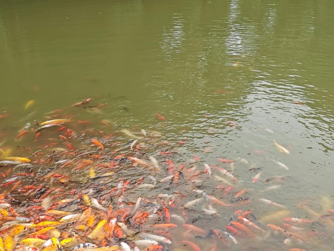 ✅5、6、7级，职称同属副高，只是聘任岗位等级不同👉专技7级：副高最低档，新