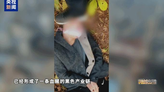 十万民警直扑中缅边境！佤邦一个小镇就藏着6万电诈骗子，站在国境线这边，对面的