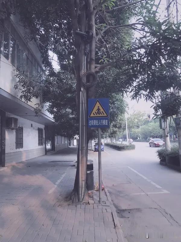 都说“吉人自有天相”，很多人觉得福气是上天给的，其实福运藏在言行举止里。有福之人