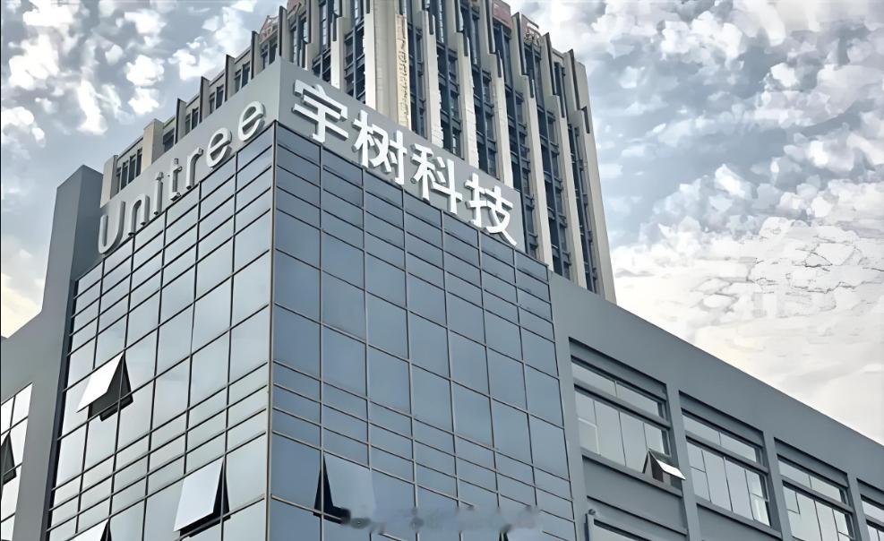 股民称中签宇树不敢发朋友圈单签盈利20万，闷声发大财，这是坠好的！宇树科技（6