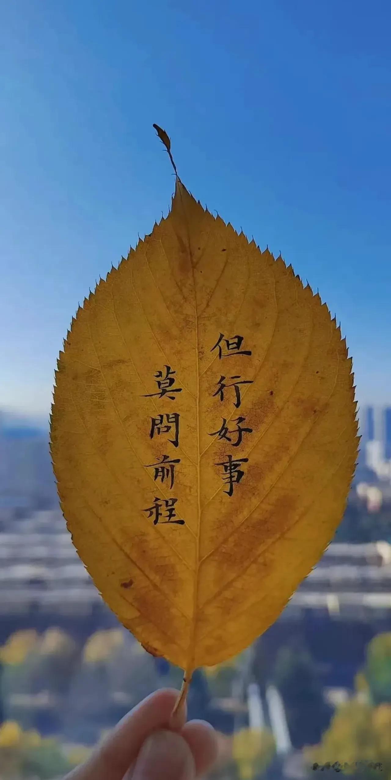 大家注意到没有，今年去世的老人特别多，原因是什么呢？和一个办理业务的客户