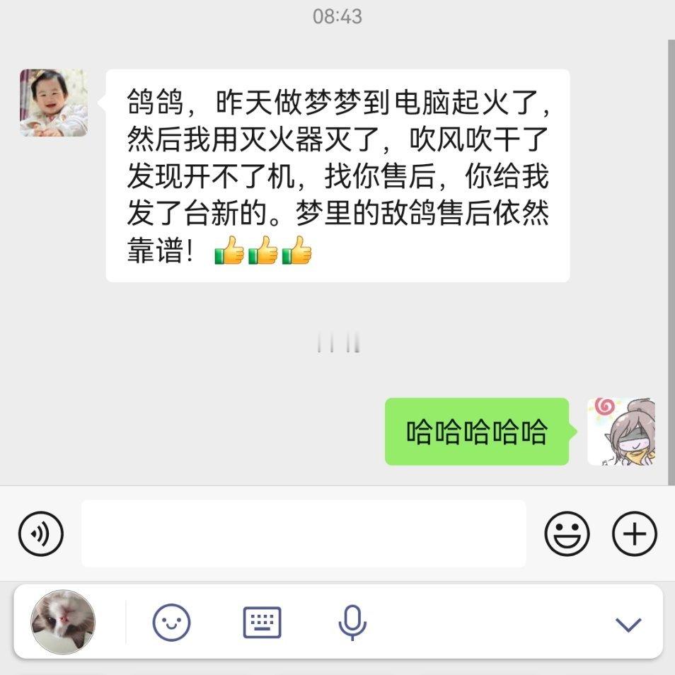 我已经飞升成电脑仙人了​​​