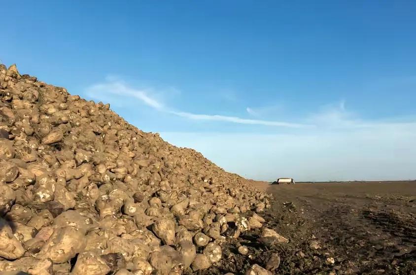 中国突然松口稀土，欧洲车企连夜排队！这背后藏着一盘让美国干瞪眼的大棋——当全球都