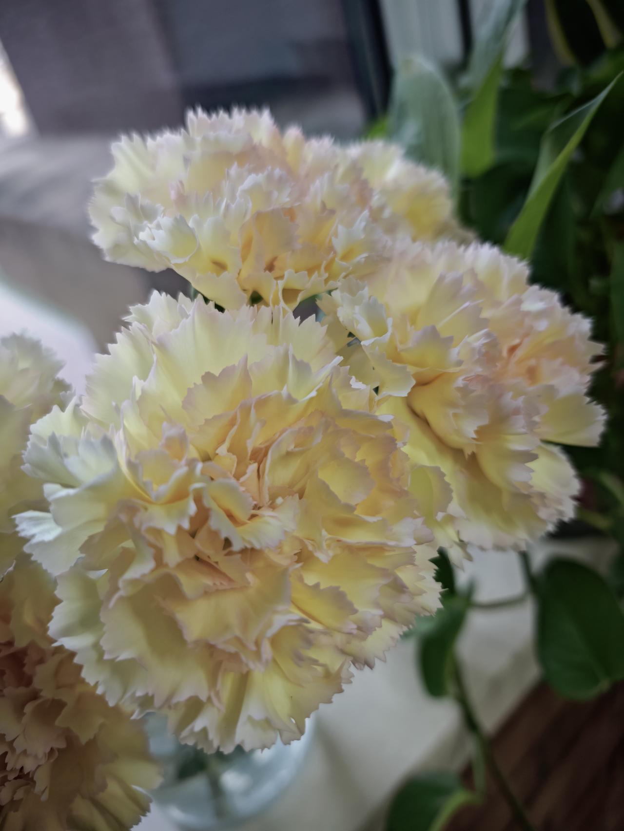 要说这“使唤老公”，还是得向90后学习。中午好多同事都自己带饭，80后的要不是昨