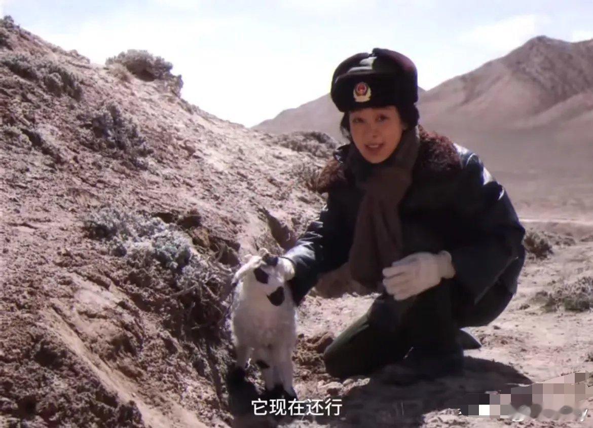 杨紫《生命树》花絮！顶流女演员，剧中打扮，灰头土脸的跟小羊玩，还跟小羊对话，简直