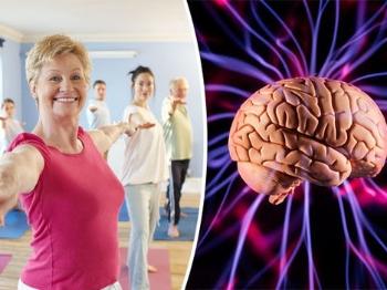 脑袋不发烧？这10个超级简单的方法帮你锻炼大脑！嘿，朋友们！大家都知道，脑子