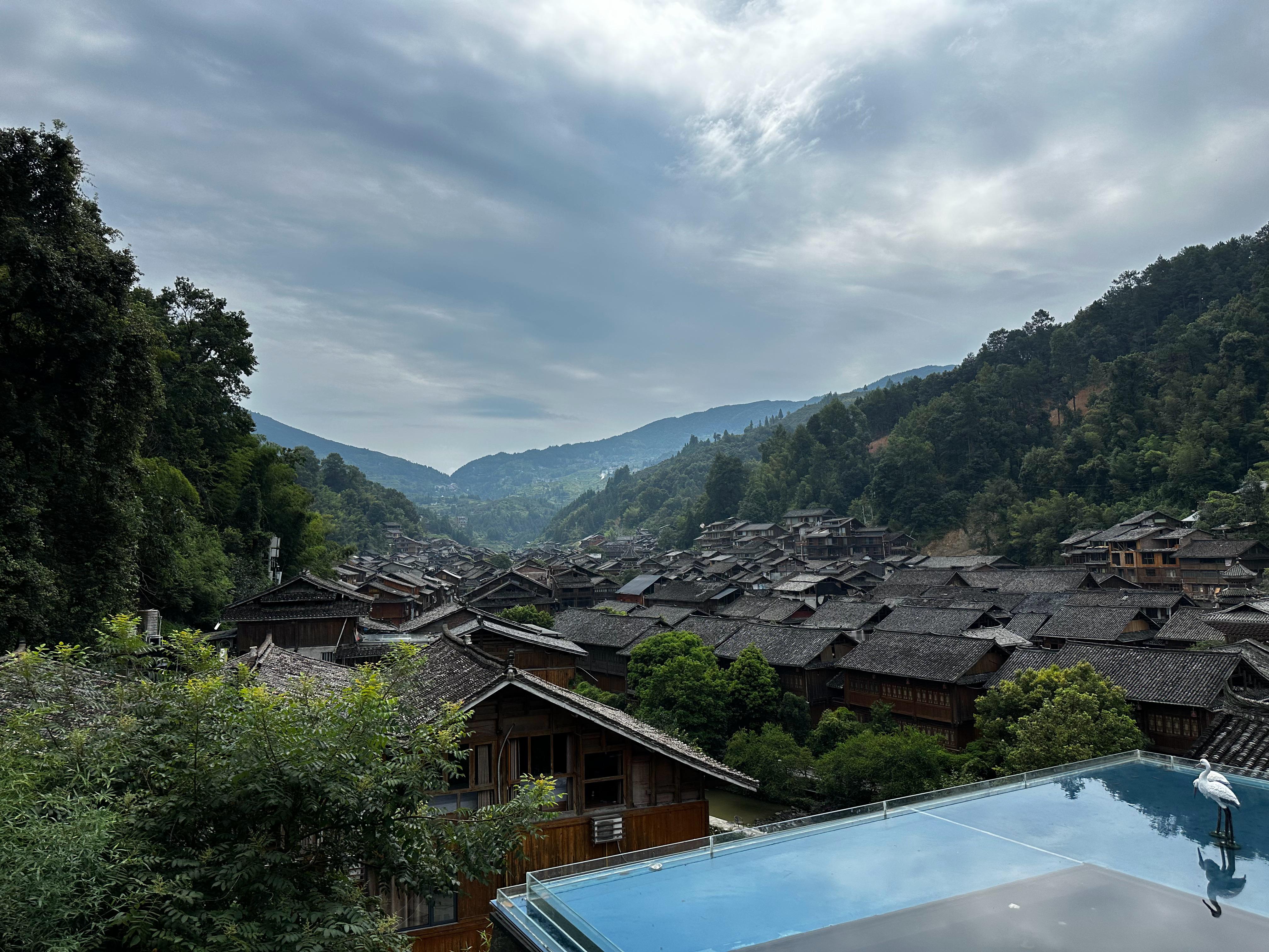小小摄影师上线​​​