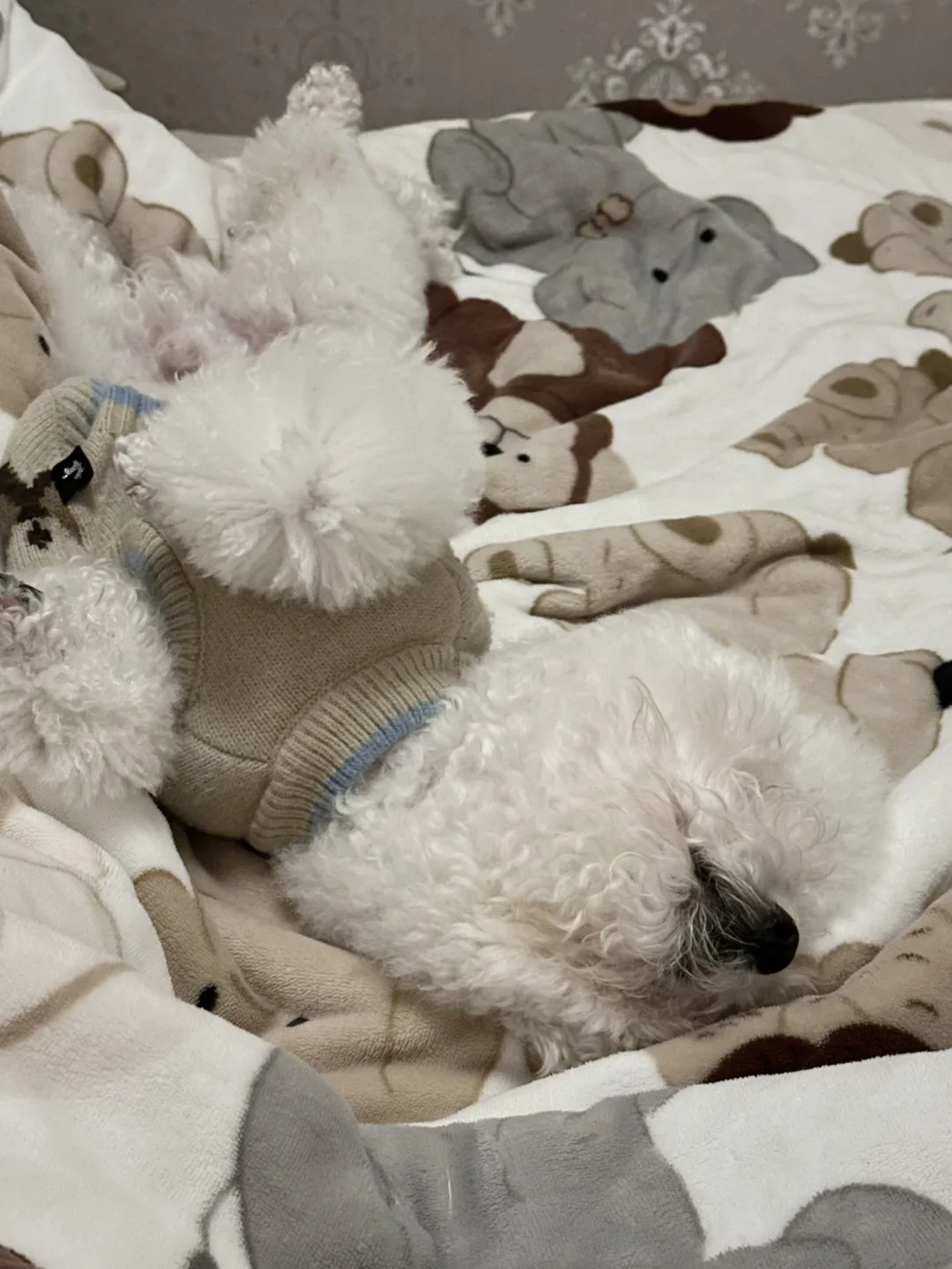 节后还没洗澡的举手🙋 已经九分凑了