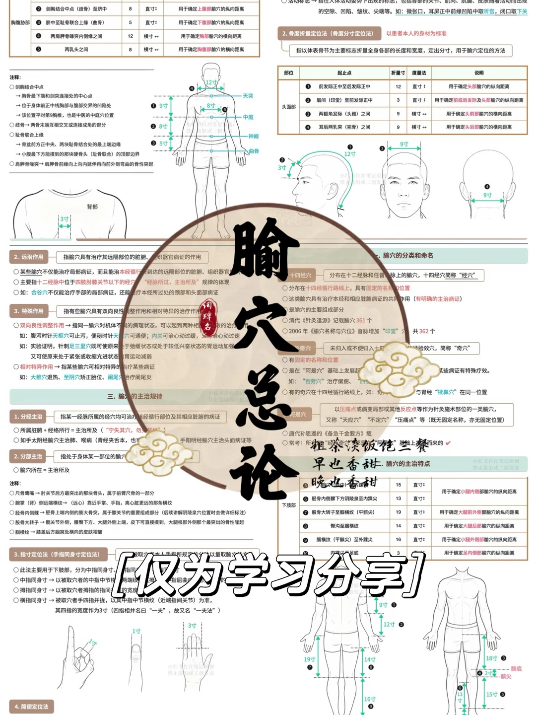 学习笔记447篇｜把学习腧穴的基础搞明白