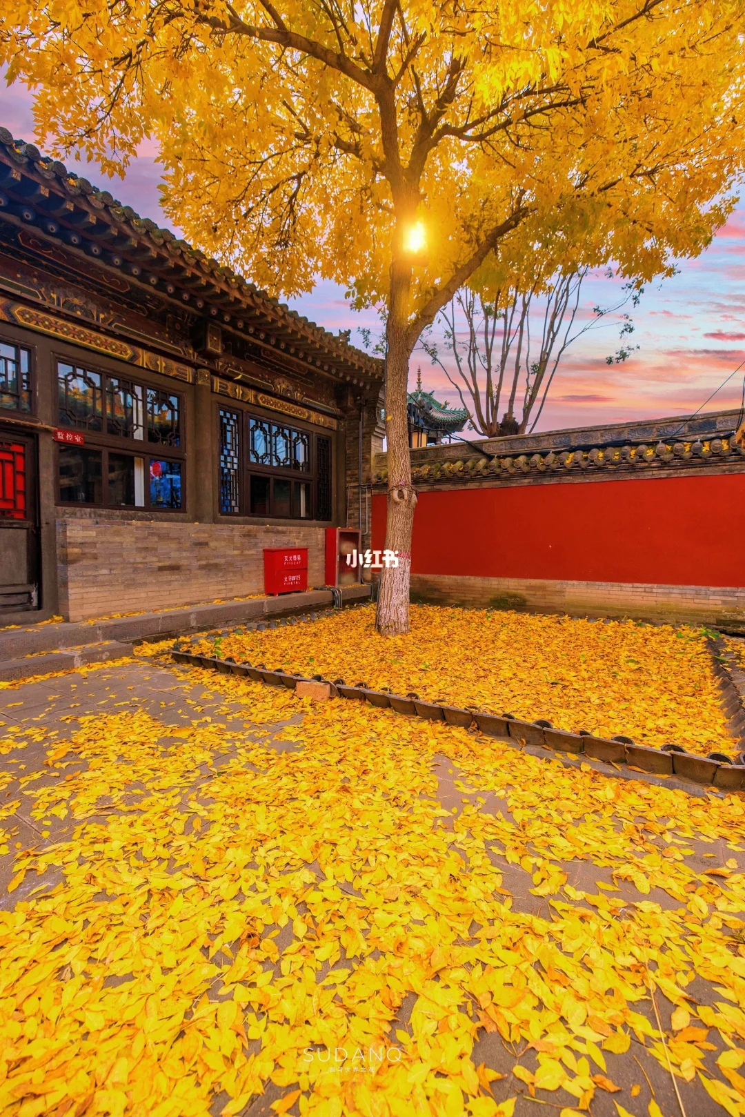 二刷大同‼️只想说｜大同的秋天真的太过分了！