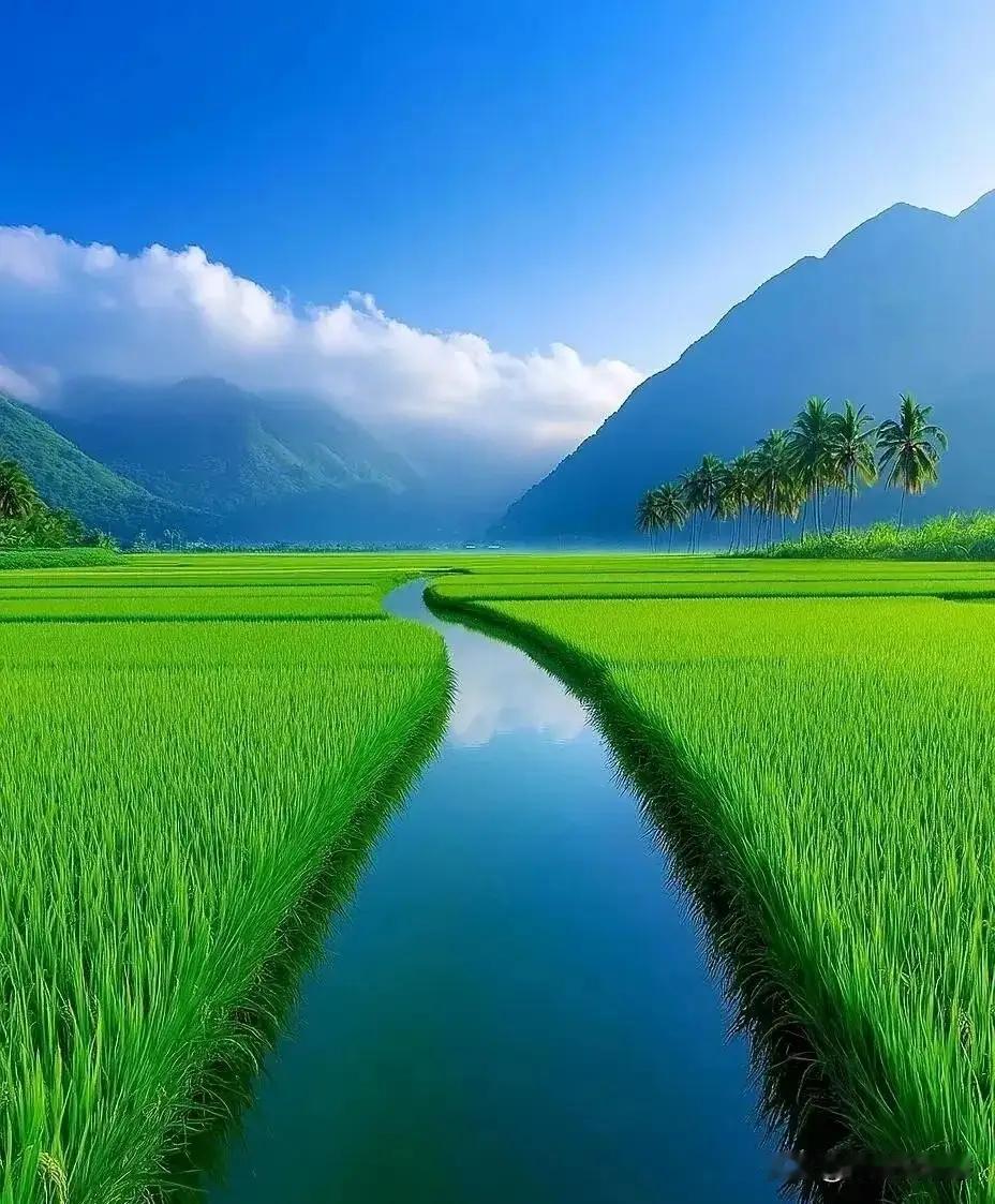 人生如一场修行，健康则是我们最宝贵的财富。曾经有一位老者，他年轻时热衷于追逐名利