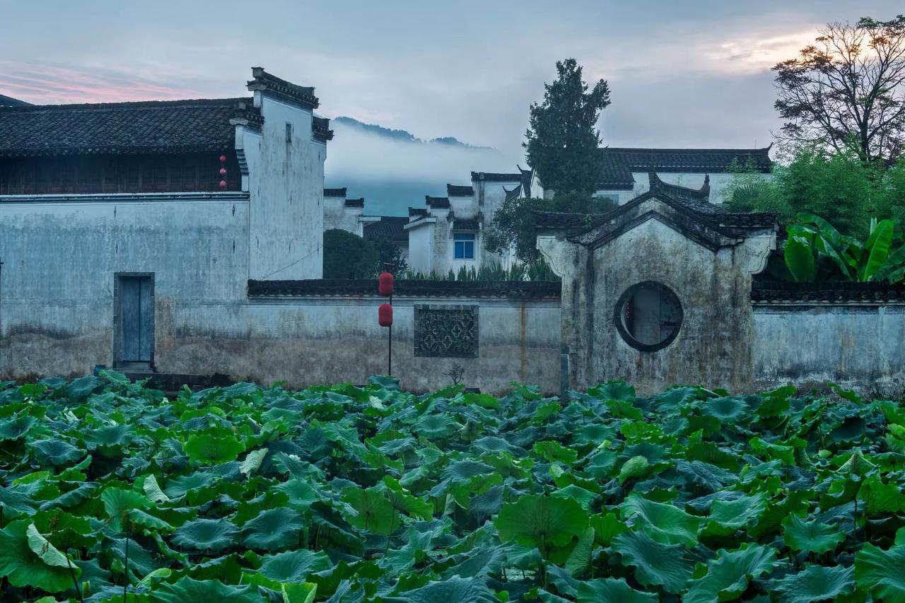 黄山呈坎八卦村。黄山呈坎八卦村徽派建筑美如画江南水乡里的诗情画意水墨宏村白墙