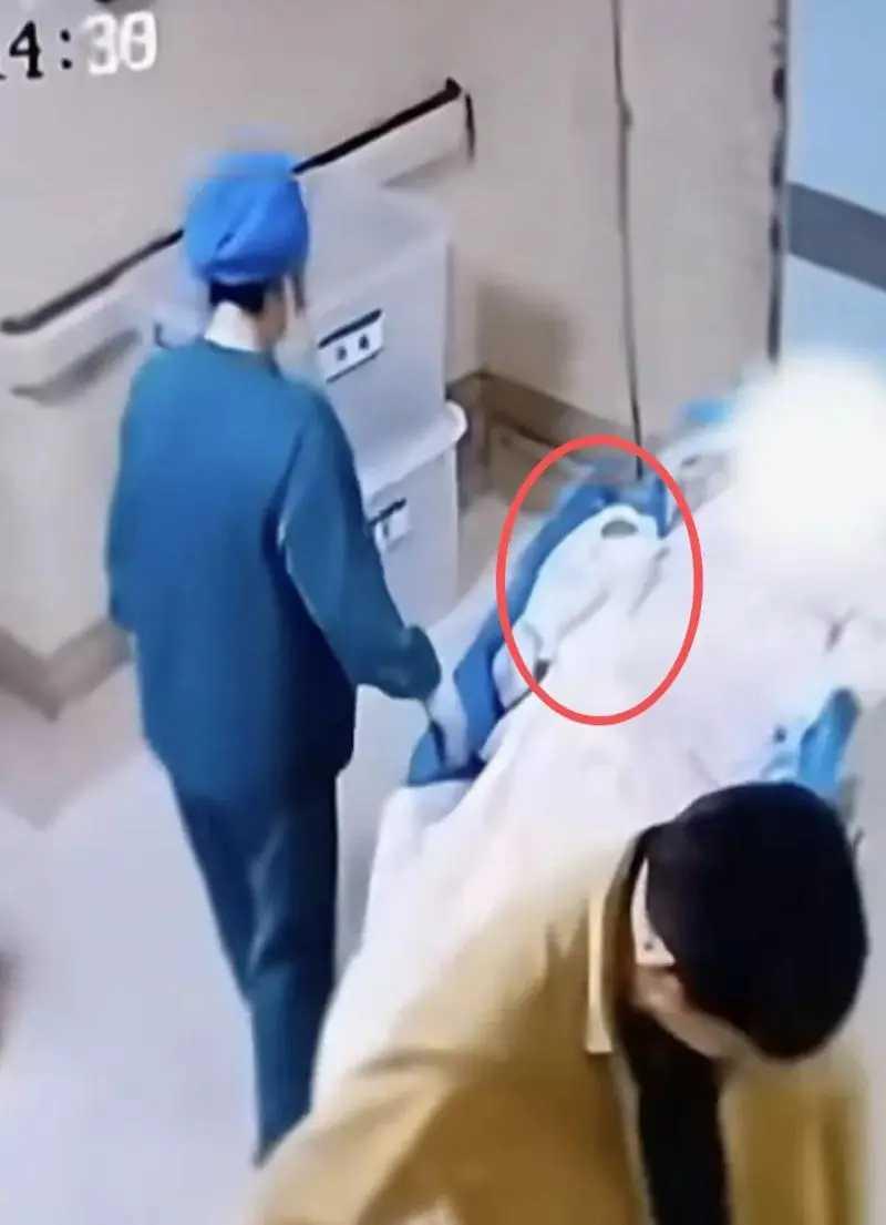 “刚来到世界的孩子,还没好好看看家,就先摔在了地上。”10月30日清晨,福建宁德