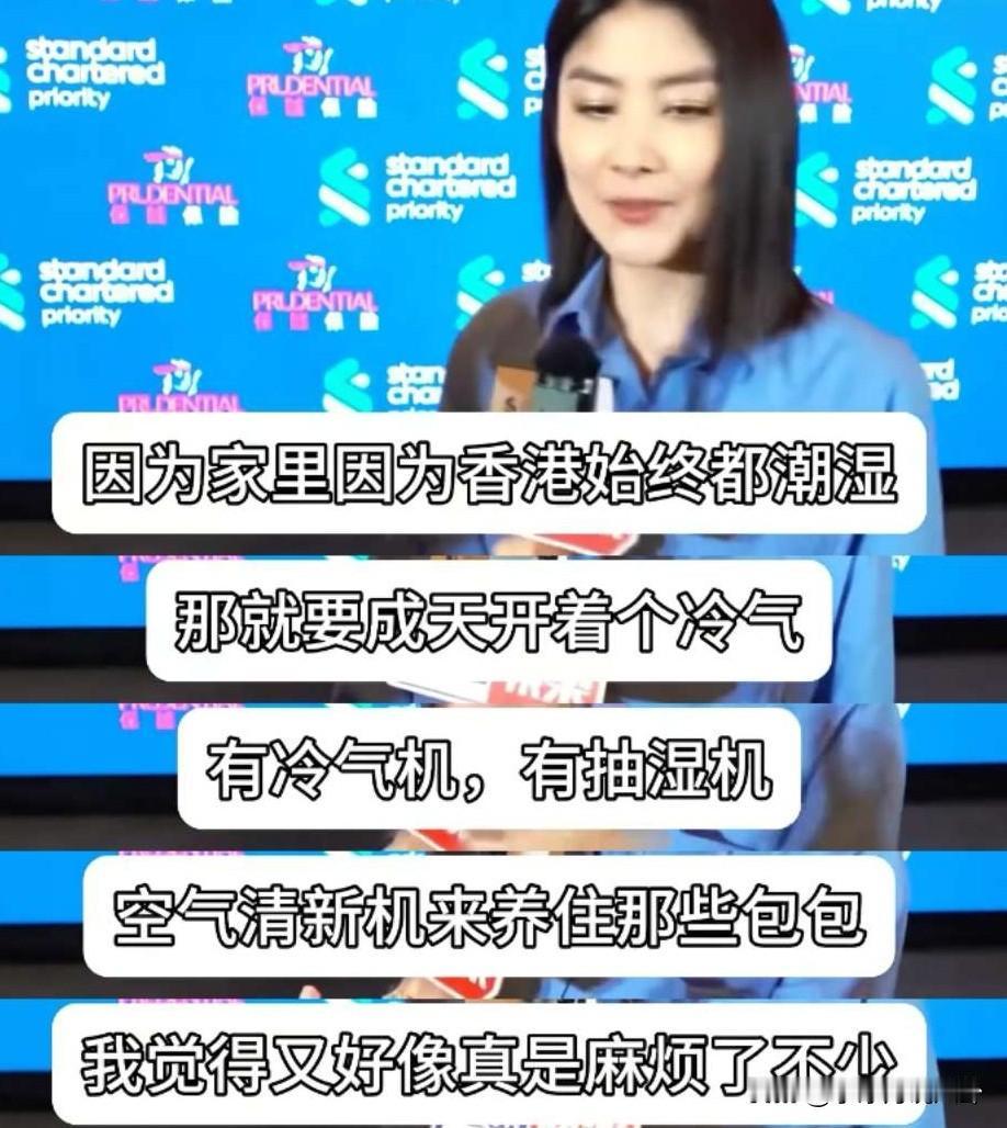 陈慧琳说：“因为香港的天气很潮湿，所以家里的包包要整天开冷气、抽湿机、空气清新机