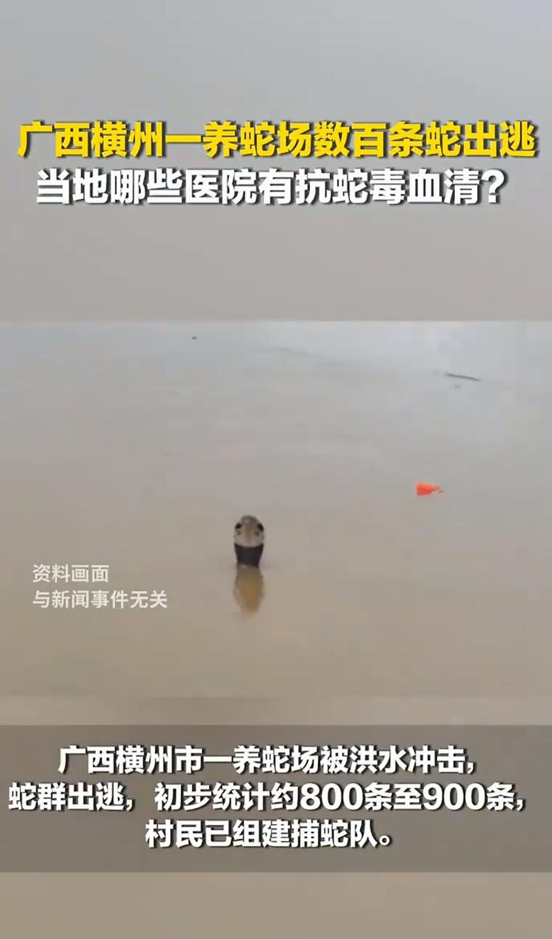广西横州市一“养蛇场”被洪水冲击，建议“韩红”带队抓蛇，本人愿意捐