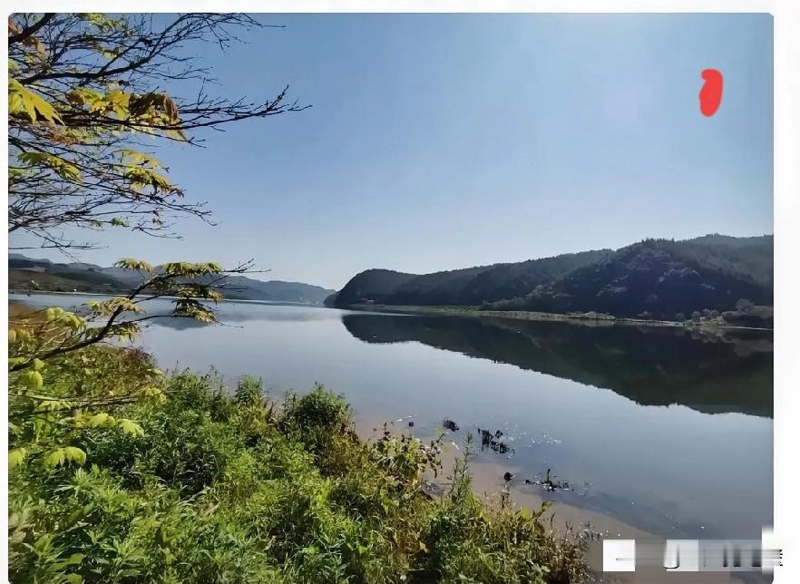 中国由于去日本航班取消，在日本旅游的人回不来。这个一点都不用可怜他们，上海不是有