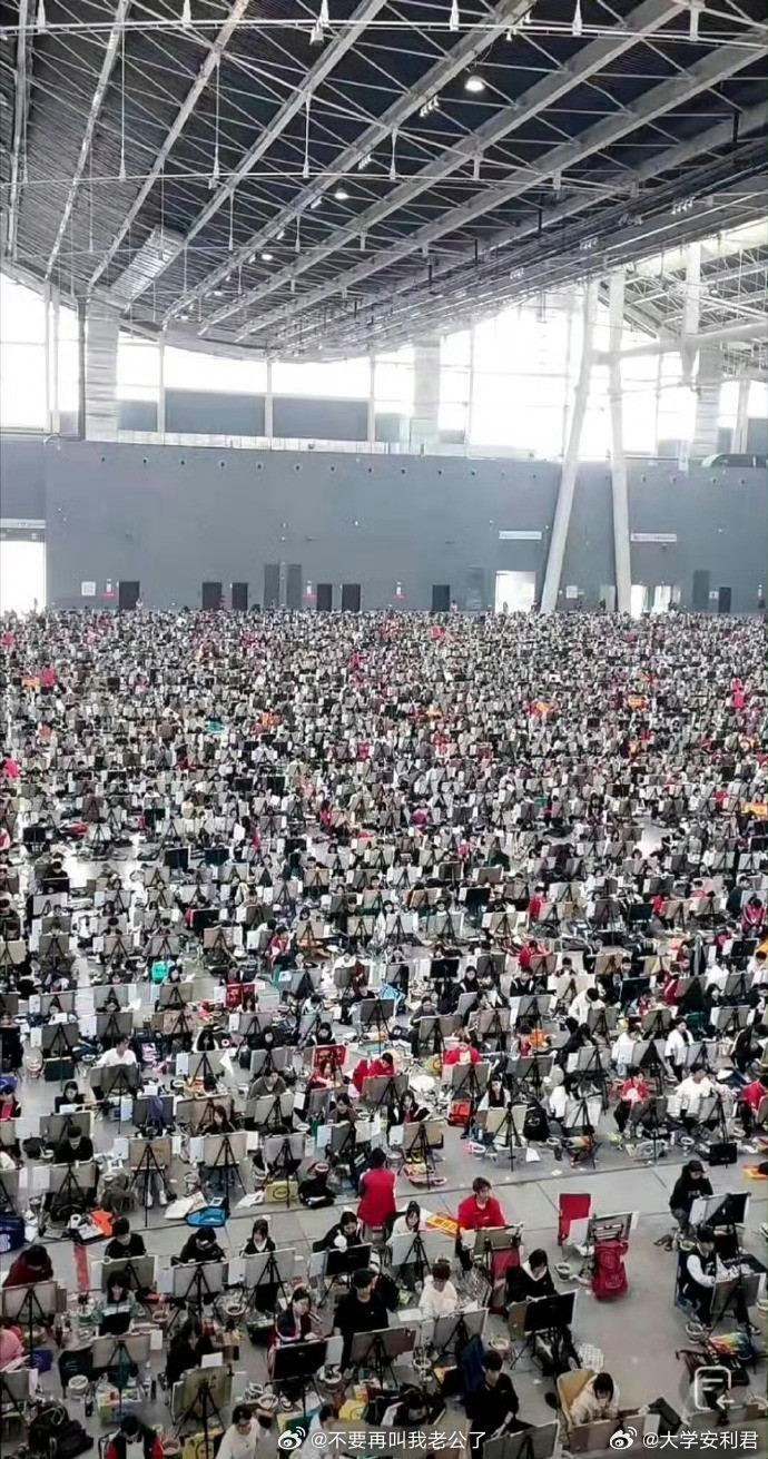 以后他们她们就业方向是什么​​​​