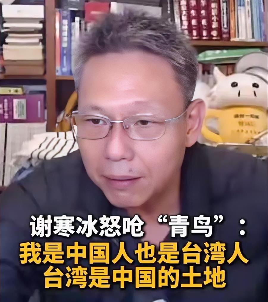 “青鸟”询问谢寒冰是中国人还是台湾人。谢寒冰顿时发怒，呛声道：“你有病啊，能不能