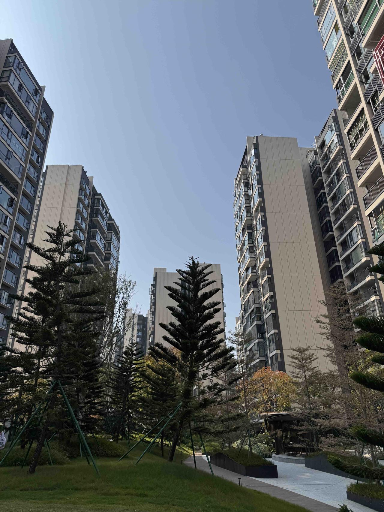 房价下跌后，买房的输了，没买房的才是赢家？朋友没有买房，目前存款百万，一直租