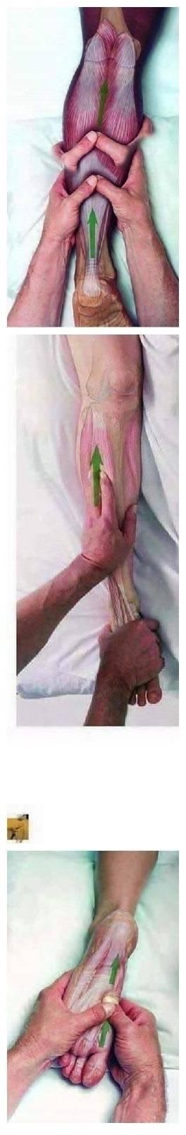 网友分享的马杀鸡教程, 适合肌肉放松, 还不让他(她)帮你来一套