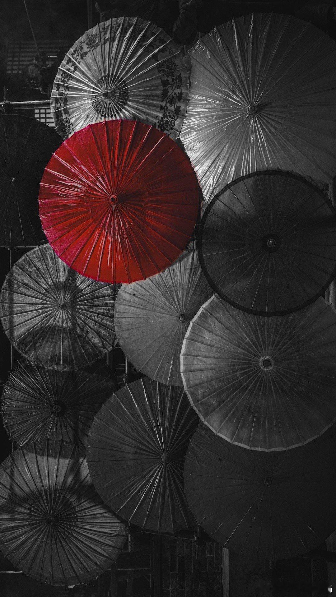 被张凌赫的摄影天赋惊到了！真的有在好好学摄影的张老师！这张太绝了