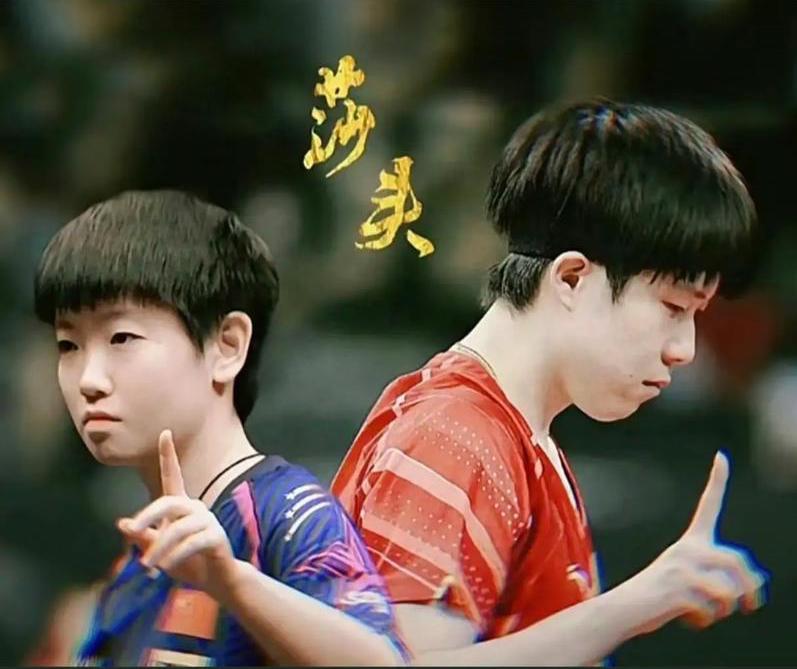 没有莎头：国乒为何再次“塌房”！我有个观点，和大家讨论一下，国乒没了莎头，为