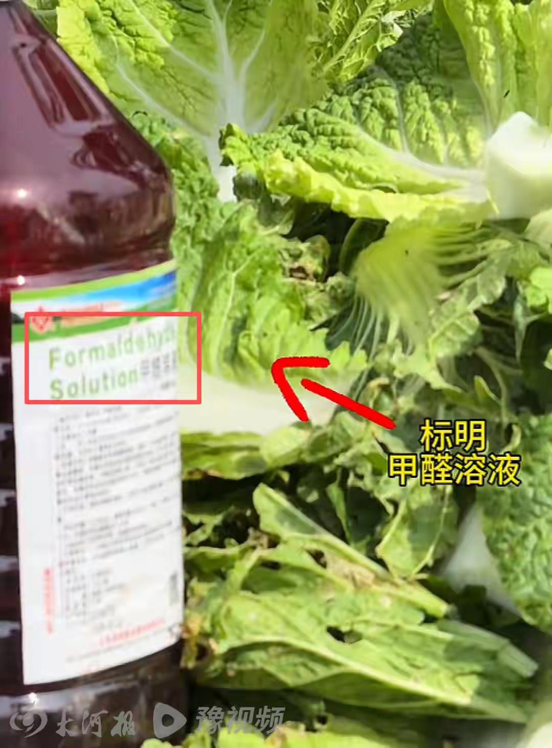 12年前就抓过人，为什么白菜还在蘸甲醛？昨晚刷到“渔猎齐哥”那个视频，镜头怼