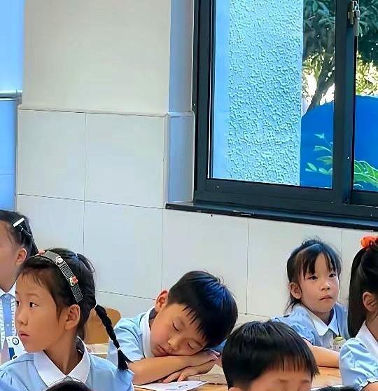 一年级双百，三年级红灯。不是娃变笨，是课表升级，脑壳没补丁。一二年级靠硬背，