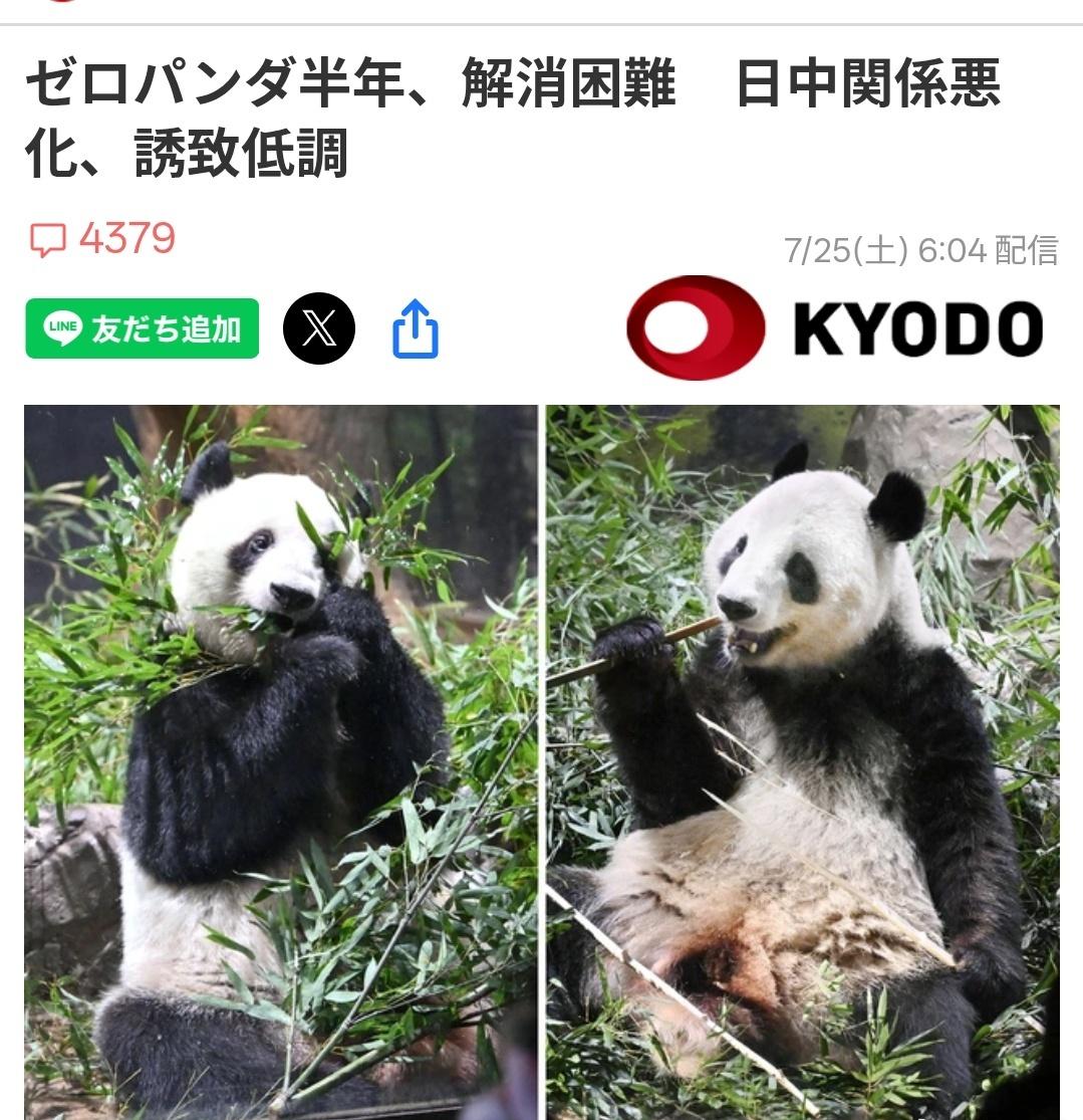 日本共同社7月25日刊文称：今年1月27日，东京上野动物园的最后两只大熊猫离开日