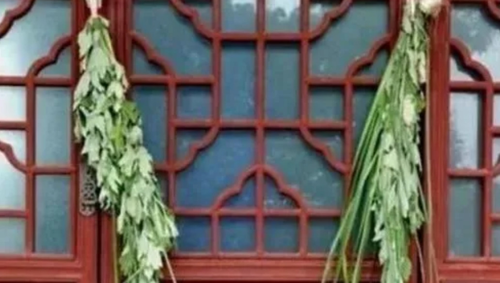 笑死，现在满大街都是“艾草刺客”！昨天看邻居大妈抱着一捆绿油油的“艾草”回家，凑