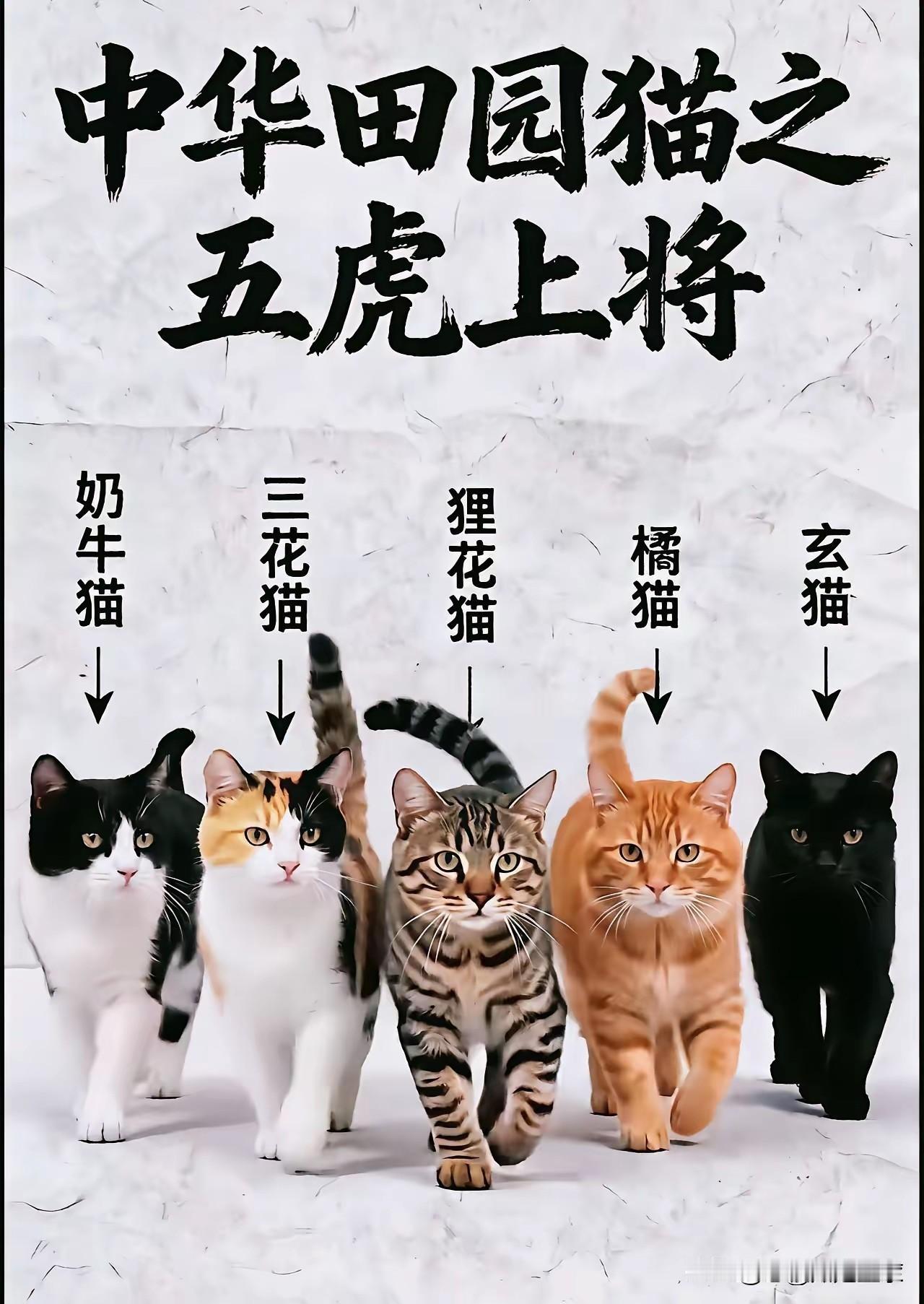 电工猫🌚[惊恐][惊恐][惊恐]