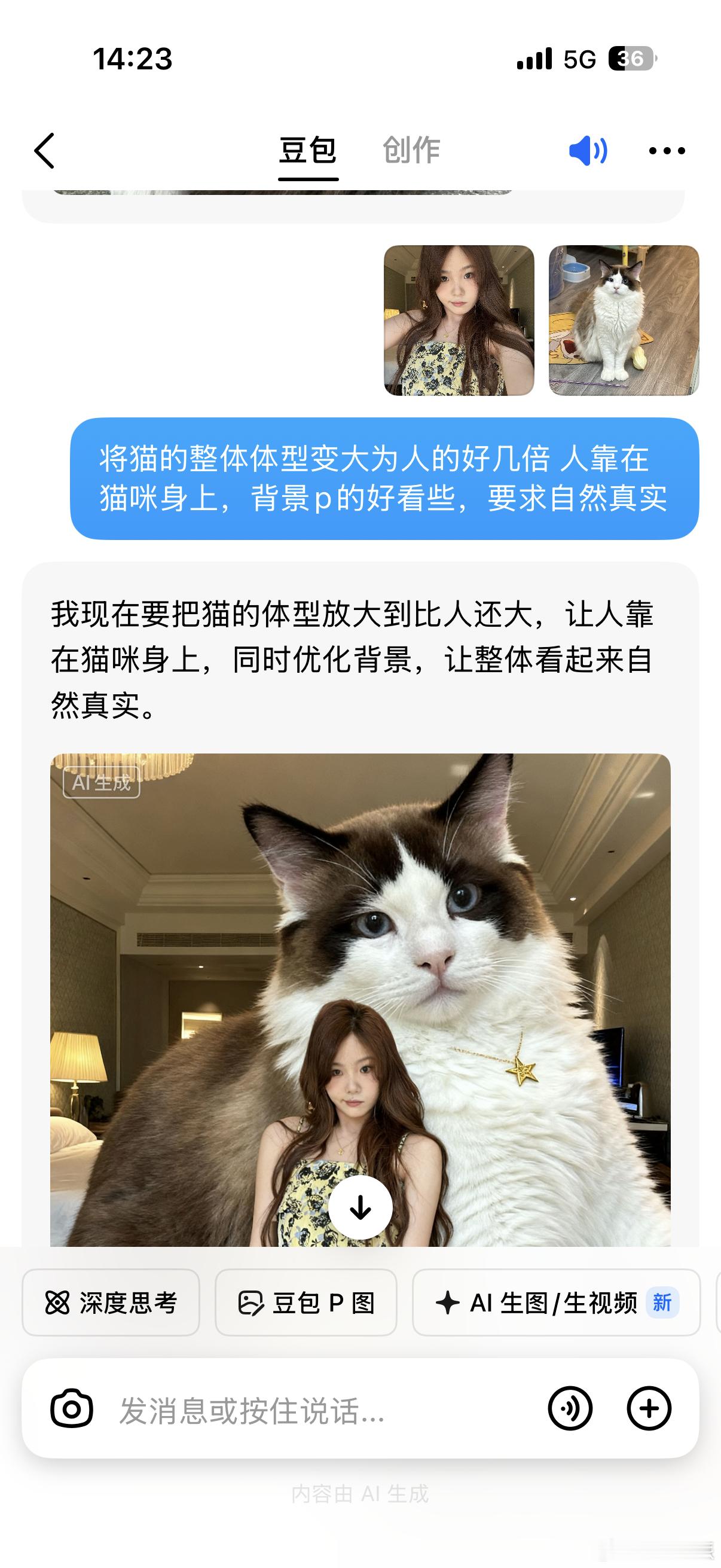 豆包P图太权威了不得不拿出我的，和我家最不好拍合照的一只猫，用豆包生成了一张合照