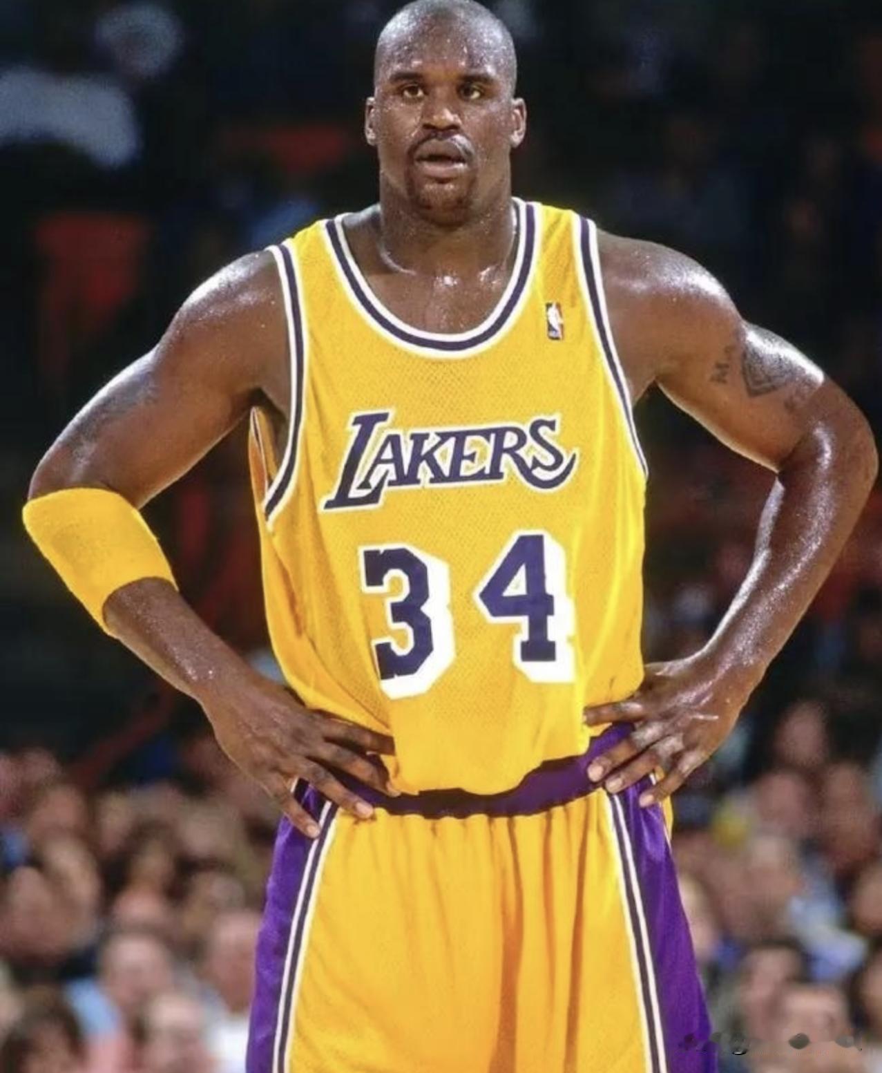 NBA历史打球最硬的五大中锋！现在的中锋真是差远了！大家觉得呢？奥尼尔纯